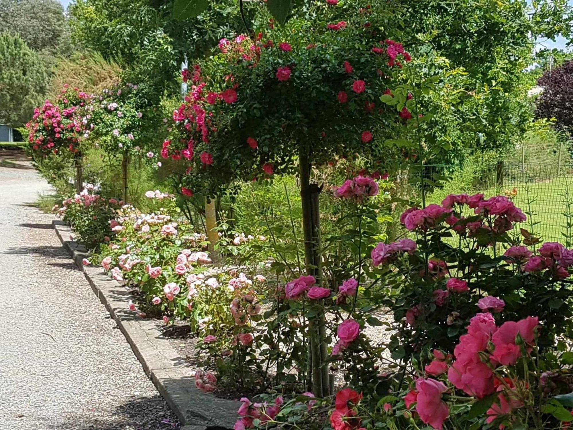 Domaine Les Rousselieres Olonne-sur-Mer Exterior foto