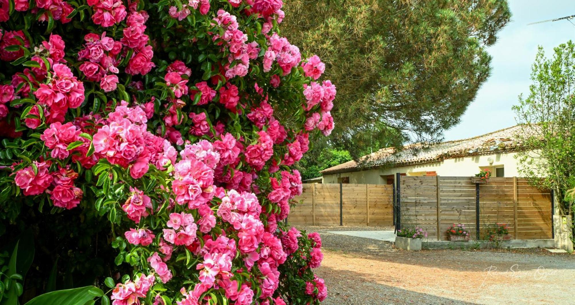 Domaine Les Rousselieres Olonne-sur-Mer Exterior foto