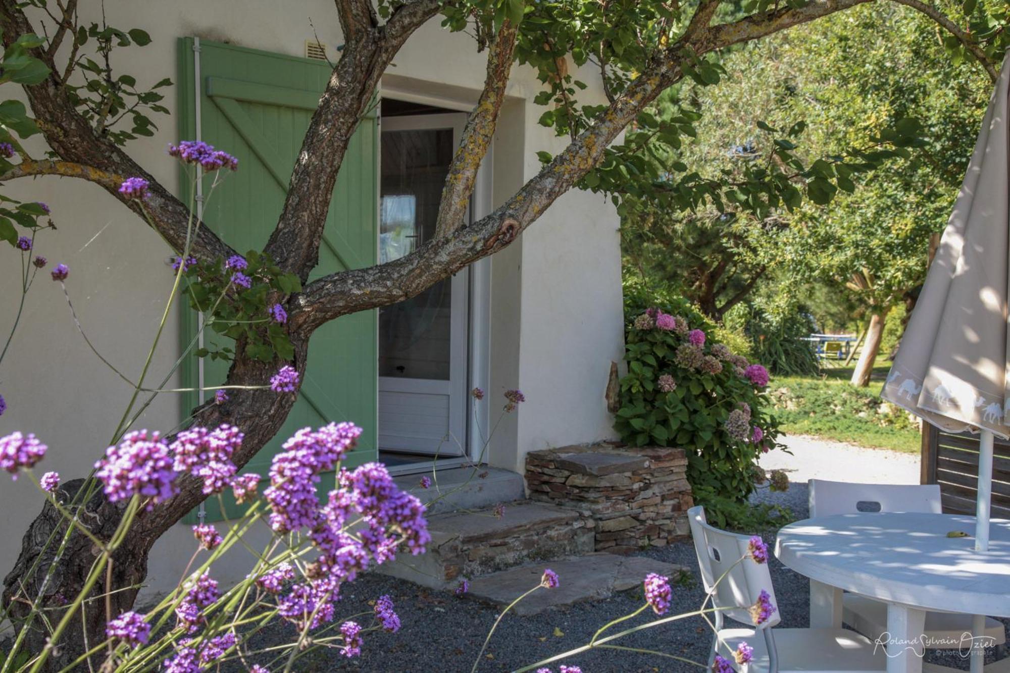 Domaine Les Rousselieres Olonne-sur-Mer Exterior foto